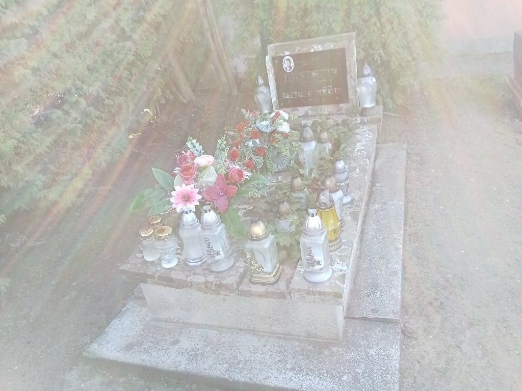 Grób Romualda Miszczak