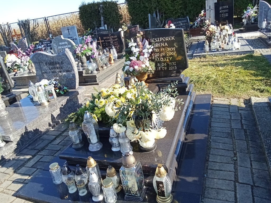 Grób Alojzy Nieszporek